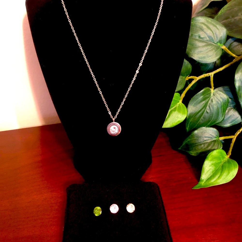 😀Silver Tone Disk with Changeable Stones